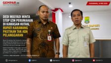 Bupati Karawang Aep Syaepuloh memastikan tidak ada pelanggaran pembangunan perumahan maupun wisata di kawasan hutan konservasi dan lahan Perhutani. Pernyataan itu disampaikan menanggapi instruksi Gubernur Jawa Barat, Dedi Mulyadi, terkait penghentian penerbitan izin di kawasan hutan.