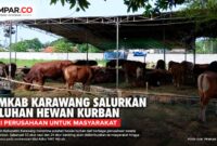 Pemkab Karawang menerima puluhan hewan kurban dari perusahaan swasta dan perbankan untuk disalurkan kepada masyarakat hingga pelosok desa pada momentum Idul Adha 1447 Hijriah.