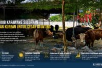 Pemkab Karawang menyalurkan puluhan hewan kurban melalui program ASN Berbagi untuk membantu penanganan stunting dan pemenuhan gizi masyarakat. 