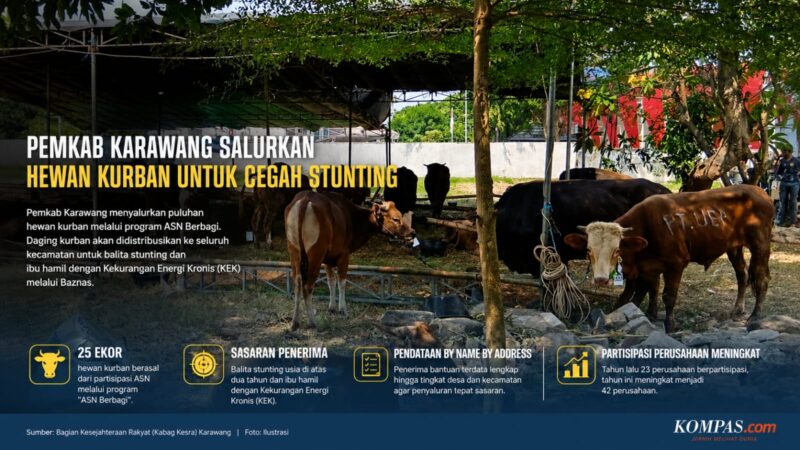 Pemkab Karawang menyalurkan puluhan hewan kurban melalui program ASN Berbagi untuk membantu penanganan stunting dan pemenuhan gizi masyarakat. 