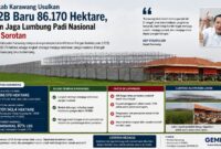 Pemkab Karawang mengusulkan LP2B baru seluas 86.170 hektare demi menjaga status lumbung padi nasional. Namun di tengah komitmen tersebut, alih fungsi lahan sawah produktif diduga masih terus terjadi, termasuk untuk pembangunan usaha peternakan ayam di kawasan LP2B.