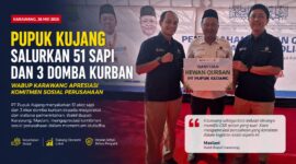 PT Pupuk Kujang menyalurkan 51 ekor sapi dan 3 ekor domba kurban kepada masyarakat dan instansi pemerintahan di Karawang dalam rangka Iduladha 1447 H.