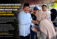 Ketua DPD Golkar Kabupaten Bekasi, H. Akhmad Marjuki, menyerahkan langsung daging kurban kepada masyarakat dalam momentum Idul Adha 1447 H/2026 M.