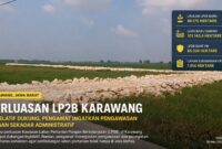 Foto: Hamparan lahan pertanian di Desa Payungsari, Kecamatan Pedes, Karawang. Perluasan LP2B dinilai perlu diiringi pengawasan ketat untuk mencegah alih fungsi lahan produktif dan menjaga ketahanan pangan.