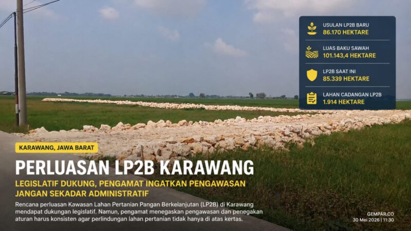 Foto: Hamparan lahan pertanian di Desa Payungsari, Kecamatan Pedes, Karawang. Perluasan LP2B dinilai perlu diiringi pengawasan ketat untuk mencegah alih fungsi lahan produktif dan menjaga ketahanan pangan.