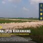 Foto: Hamparan lahan pertanian di Desa Payungsari, Kecamatan Pedes, Karawang. Perluasan LP2B dinilai perlu diiringi pengawasan ketat untuk mencegah alih fungsi lahan produktif dan menjaga ketahanan pangan.