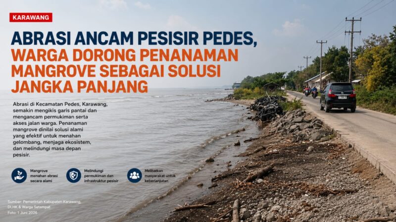 Abrasi terus menggerus pesisir Kecamatan Pedes, Kabupaten Karawang. Di sejumlah titik, garis pantai semakin mundur dan mengancam akses jalan serta lingkungan permukiman warga.