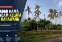 Puluhan pohon kelapa di sejumlah wilayah Karawang mati meranggas akibat dugaan serangan kumbang tanduk dan penyakit busuk pucuk.