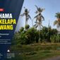 Puluhan pohon kelapa di sejumlah wilayah Karawang mati meranggas akibat dugaan serangan kumbang tanduk dan penyakit busuk pucuk.