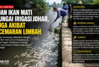 Penemuan ribuan ikan mati yang mengambang di aliran Sungai Irigasi Johar, Kabupaten Karawang, memicu kekhawatiran warga terhadap dugaan pencemaran limbah. 