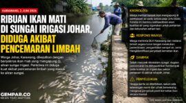 Penemuan ribuan ikan mati yang mengambang di aliran Sungai Irigasi Johar, Kabupaten Karawang, memicu kekhawatiran warga terhadap dugaan pencemaran limbah. 