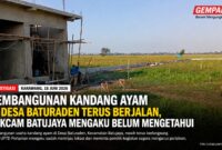 Pembangunan yang diduga akan digunakan sebagai usaha kandang ayam di Desa Baturaden, Kecamatan Batujaya, Kabupaten Karawang, terus berlangsung di tengah sorotan publik terkait status lahan dan perizinannya.
