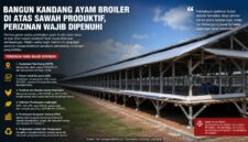 Pembangunan kandang ayam broiler skala besar di atas lahan sawah produktif wajib memenuhi berbagai persyaratan hukum dan perizinan.