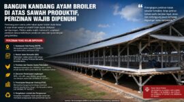 Pembangunan kandang ayam broiler skala besar di atas lahan sawah produktif wajib memenuhi berbagai persyaratan hukum dan perizinan.