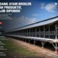 Pembangunan kandang ayam broiler skala besar di atas lahan sawah produktif wajib memenuhi berbagai persyaratan hukum dan perizinan.