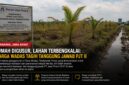 Lahan bekas penggusuran di Desa Wadas, Kecamatan Telukjambe Timur, Kabupaten Karawang, kini dipenuhi rumput liar dan tanaman kelapa hibrida yang tampak tidak terawat.