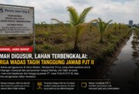 Lahan bekas penggusuran di Desa Wadas, Kecamatan Telukjambe Timur, Kabupaten Karawang, kini dipenuhi rumput liar dan tanaman kelapa hibrida yang tampak tidak terawat.