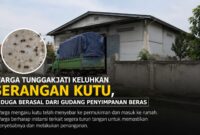 Warga Desa Tunggakjati, Kecamatan Karawang Barat, mengeluhkan serangan kutu yang diduga berasal dari gudang penyimpanan beras di sekitar permukiman