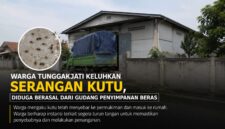 Warga Desa Tunggakjati, Kecamatan Karawang Barat, mengeluhkan serangan kutu yang diduga berasal dari gudang penyimpanan beras di sekitar permukiman