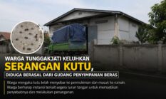 Warga Tunggakjati Keluhkan Serangan Kutu, Diduga Berasal dari Gudang Penyimpanan Beras