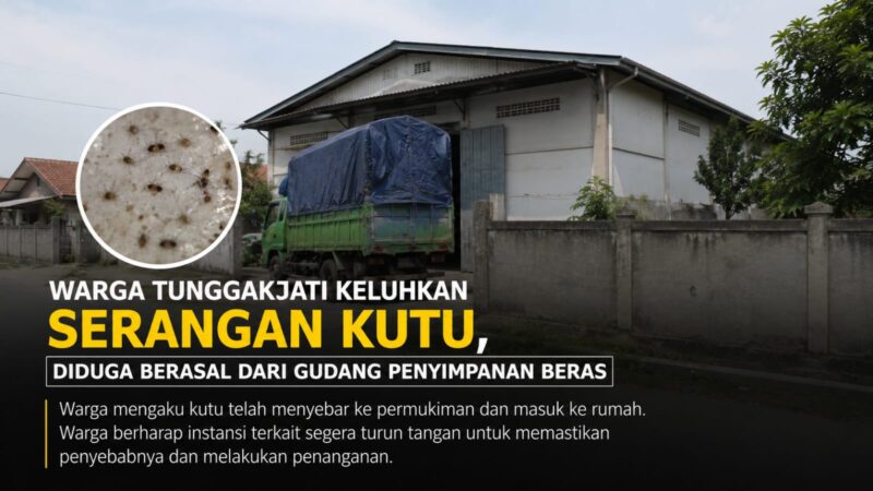 Warga Desa Tunggakjati, Kecamatan Karawang Barat, mengeluhkan serangan kutu yang diduga berasal dari gudang penyimpanan beras di sekitar permukiman