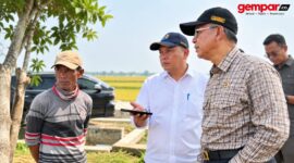 Menteri Pekerjaan Umum (PU) Dody Hanggodo meninjau kondisi jaringan irigasi dan persawahan di Desa Karangharja, Kecamatan Pebayuran, Kabupaten Bekasi, Jawa Barat, Sabtu (26/9/2026). 