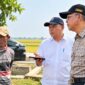 Menteri Pekerjaan Umum (PU) Dody Hanggodo meninjau kondisi jaringan irigasi dan persawahan di Desa Karangharja, Kecamatan Pebayuran, Kabupaten Bekasi, Jawa Barat, Sabtu (26/9/2026). 
