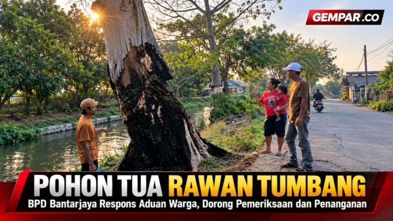 BPD Bantarjaya mendorong Pemerintah Desa menindaklanjuti aduan warga terkait pohon tua yang dinilai berpotensi membahayakan masyarakat.