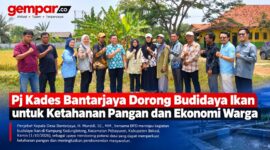 Pj Kades Bantarjaya bersama BPD meninjau budidaya ikan untuk mendorong ketahanan pangan dan ekonomi warga.