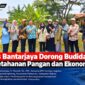 Pj Kades Bantarjaya bersama BPD meninjau budidaya ikan untuk mendorong ketahanan pangan dan ekonomi warga.