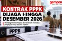 Mendagri larang pemutusan kontrak PPPK secara sepihak hingga Desember 2026.